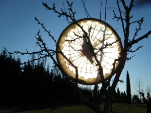 DSCF1378