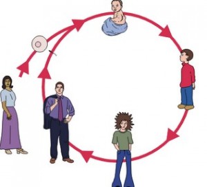 psicodesarrollo